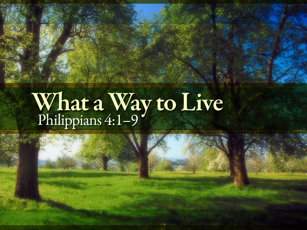 What A Way To Live